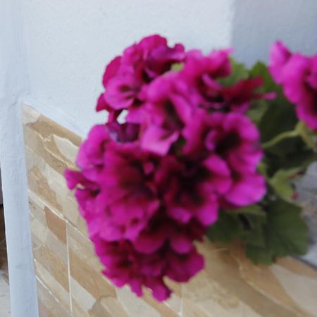 Guesthouse Seli Berat Dış mekan fotoğraf
