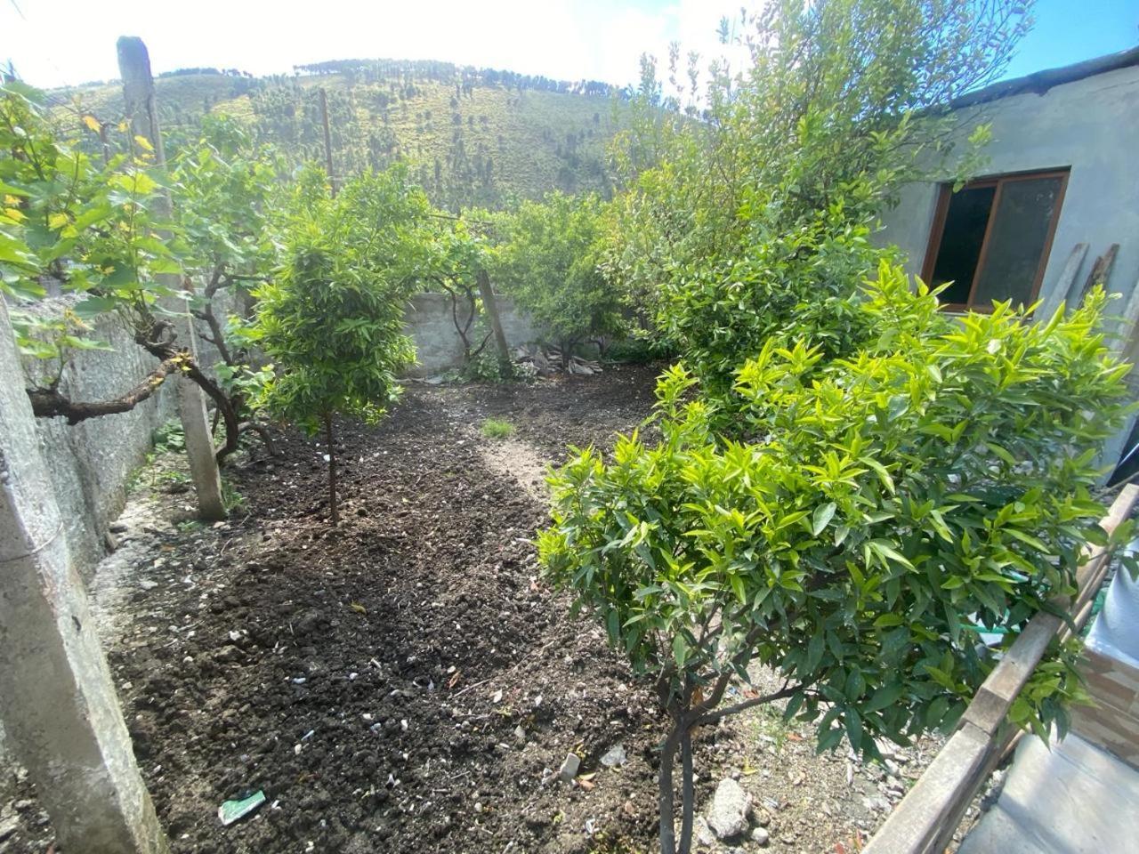 Guesthouse Seli Berat Dış mekan fotoğraf