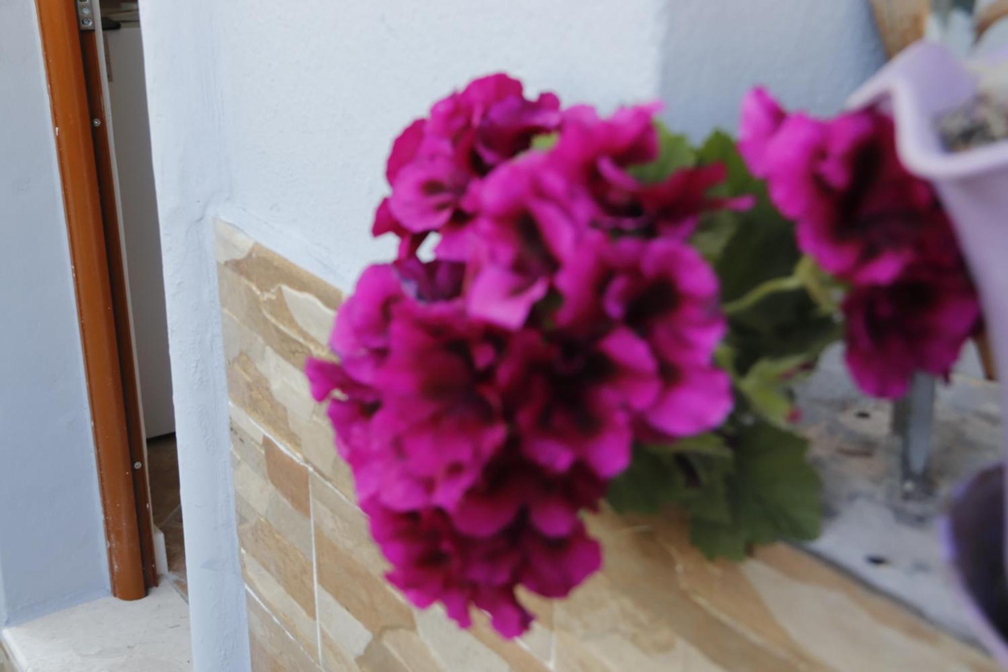 Guesthouse Seli Berat Dış mekan fotoğraf