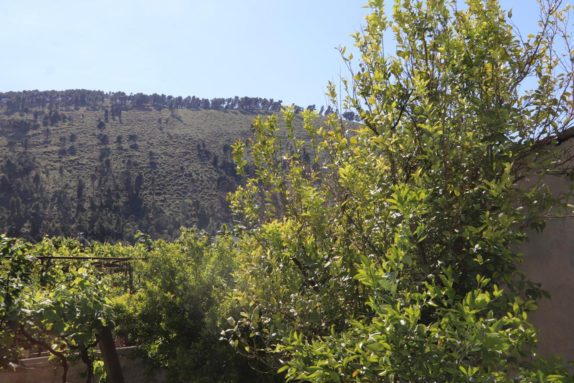 Guesthouse Seli Berat Dış mekan fotoğraf