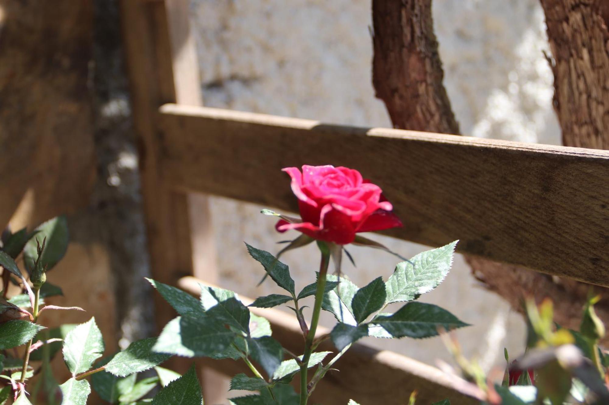 Guesthouse Seli Berat Dış mekan fotoğraf